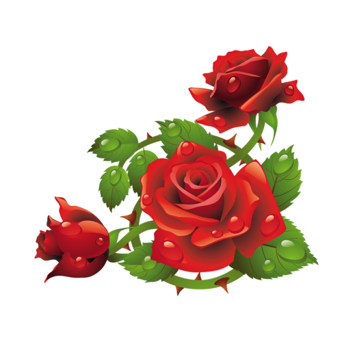 Rosas Dibujos Roses Dessinpng 6762