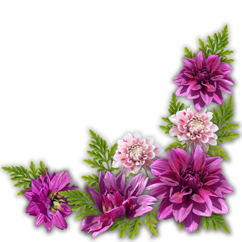 Coins ( Esquinas ) Flores